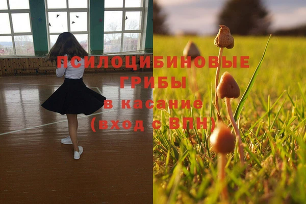 скорость Пестово