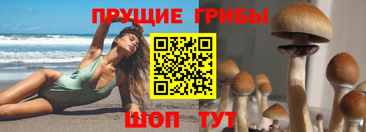 Сертолово  Псилоцибиновые грибы Magic Shrooms  Вход с VPN 