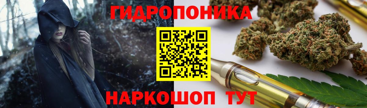 Сертолово  Бошки Шишки ГИДРОПОН  МАРИХУАНА планчик  МАРИХУАНА тримм  Вход с VPN 